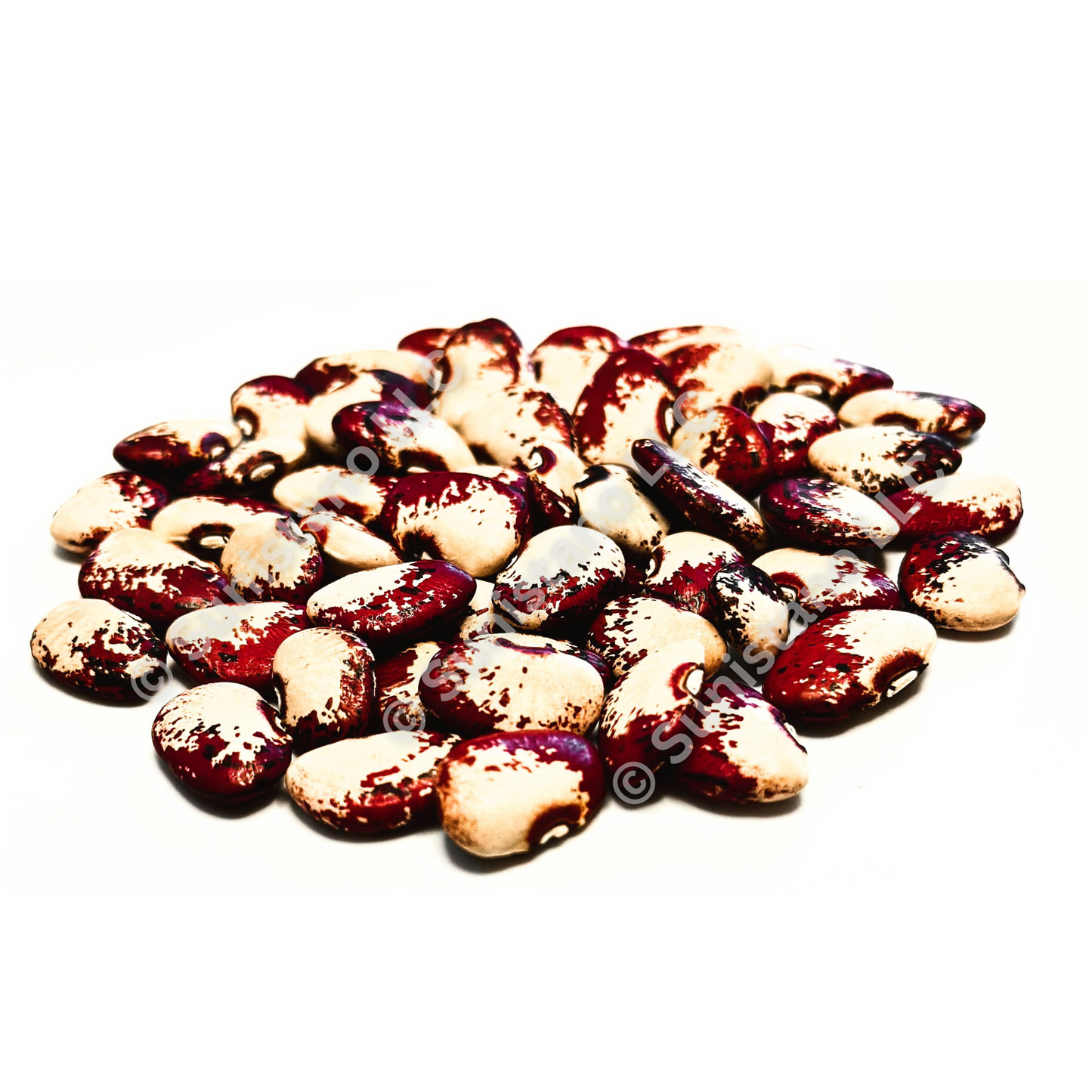 Lima Bean (Phaseolus lunatus 'Potawatomi')