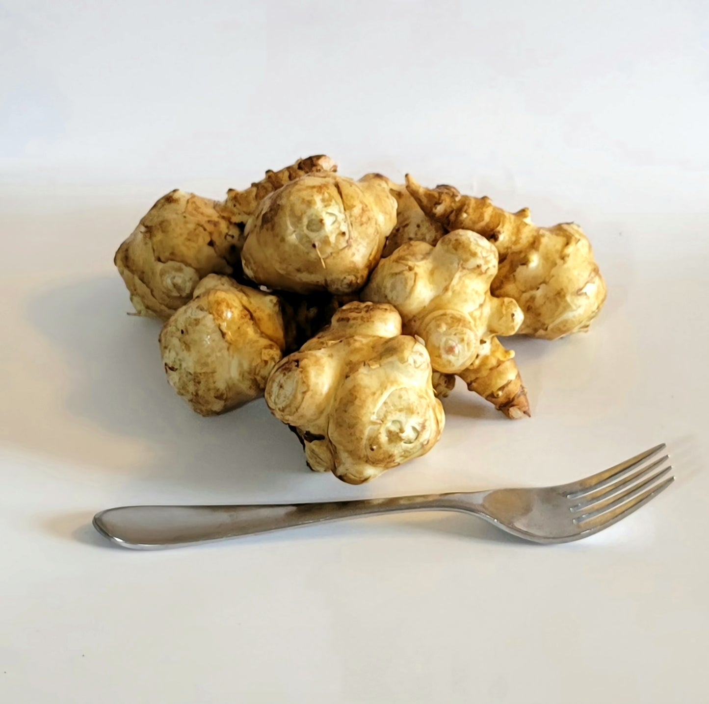 Jerusalem Artichoke (Helianthus tuberosus 'Supernova')