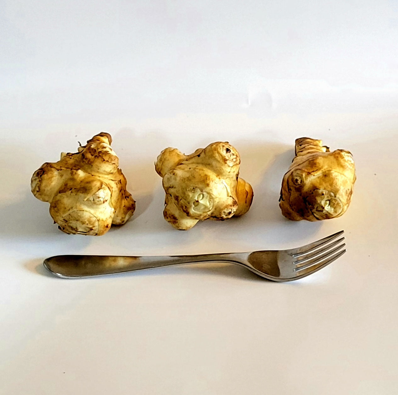 Jerusalem Artichoke (Helianthus tuberosus 'Supernova')