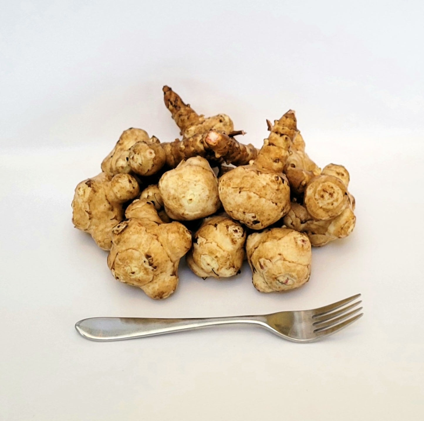 Jerusalem Artichoke (Helianthus tuberosus 'Olatin')