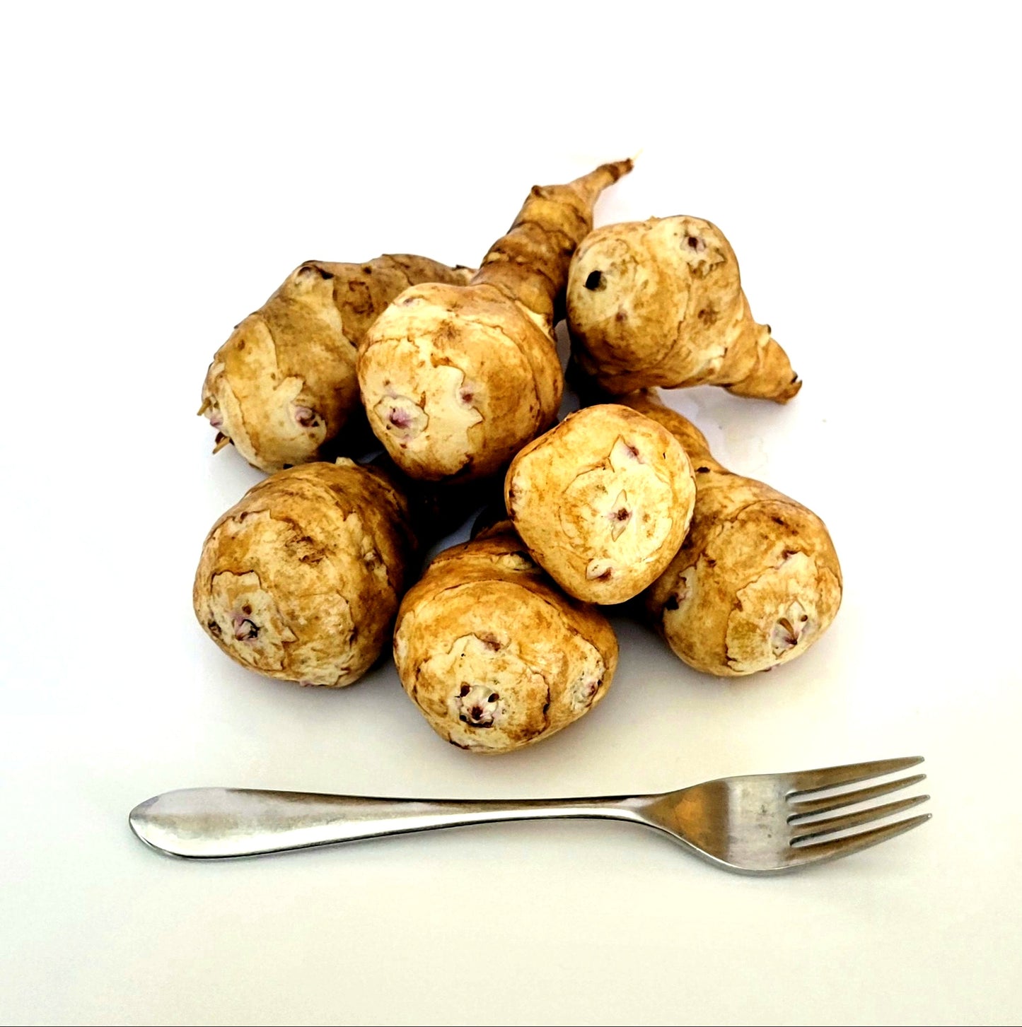 Jerusalem Artichoke (Helianthus tuberosus 'Starwhite Cluster')