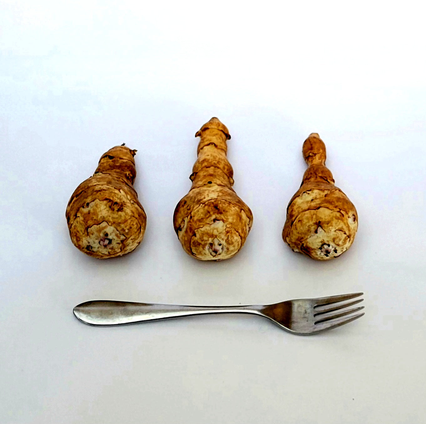 Jerusalem Artichoke (Helianthus tuberosus 'Starwhite Cluster')