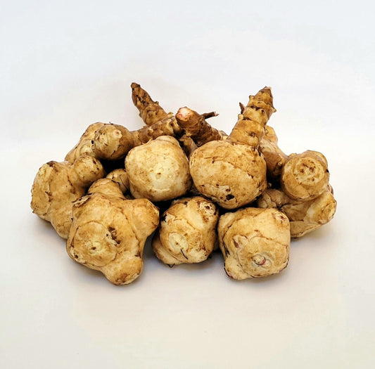 Jerusalem Artichoke (Helianthus tuberosus 'Olatin')