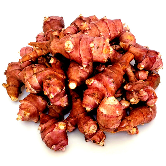 Jerusalem Artichoke (Helianthus tuberosus 'Jack's Copperclad')